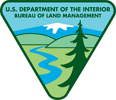 BLM-Logo