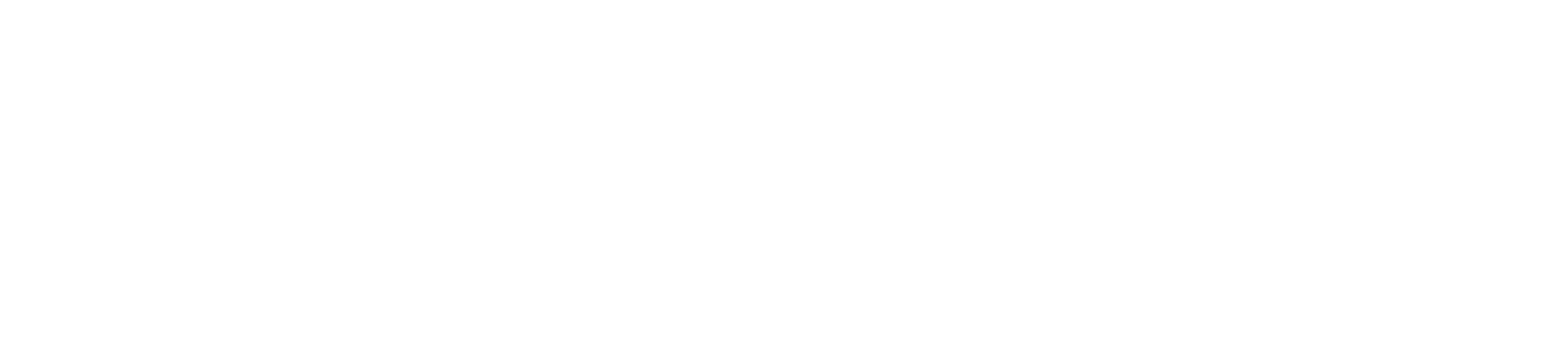 WX_logo_White_Large